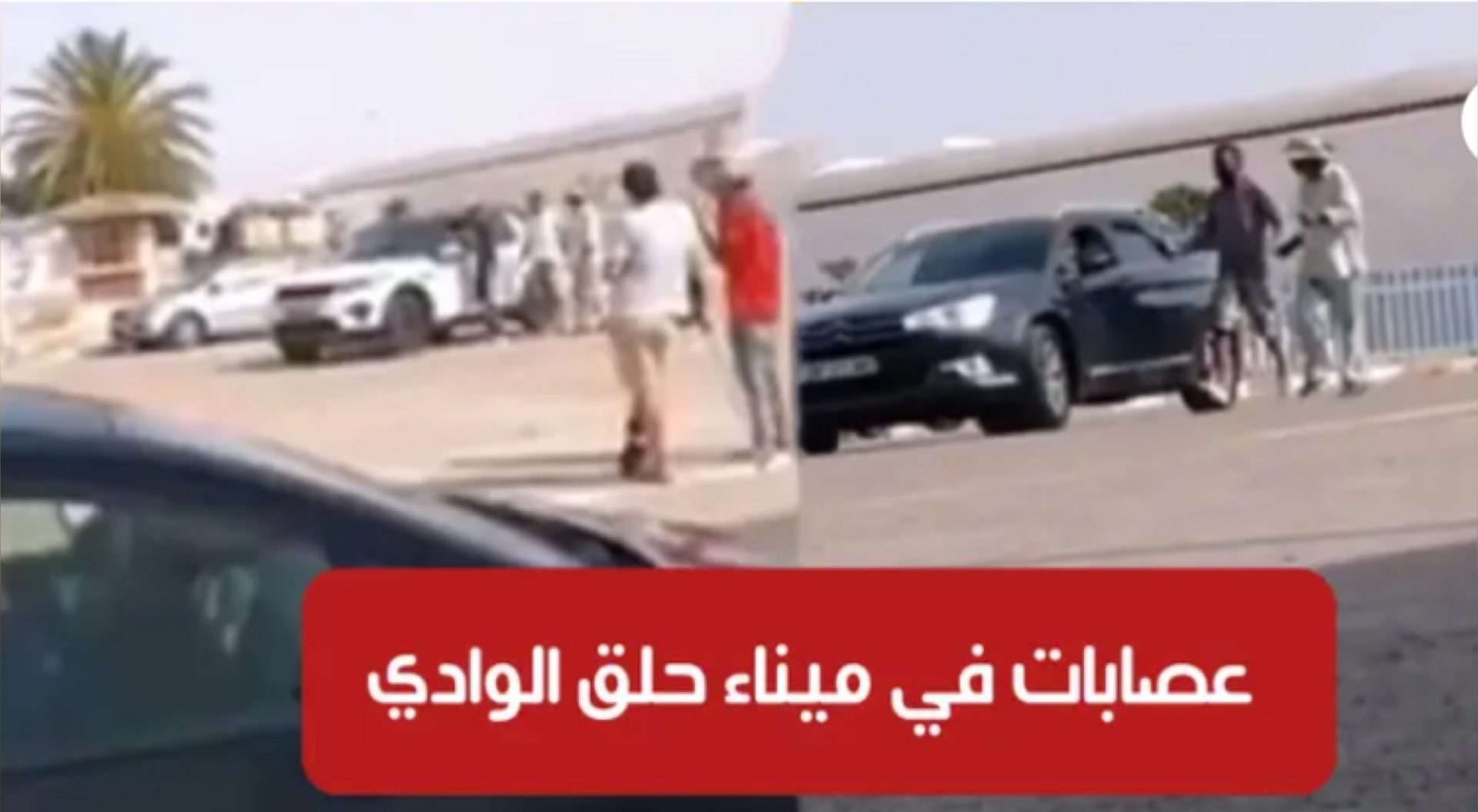 فيديو صادم / ميناء حلق الوادي : منحرفون يهاجمون أفراد الجالية التونسية بالخارج لسلبهم تحت التهديد 