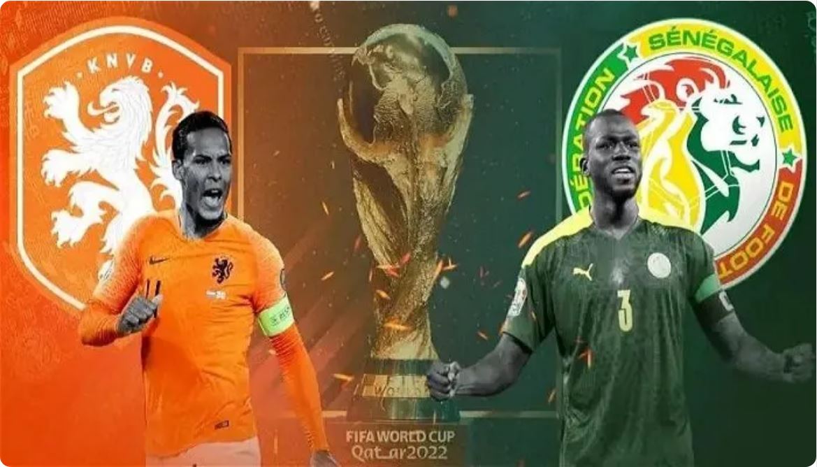 مباراة السنغال وهولندا في كأس العالم 2022